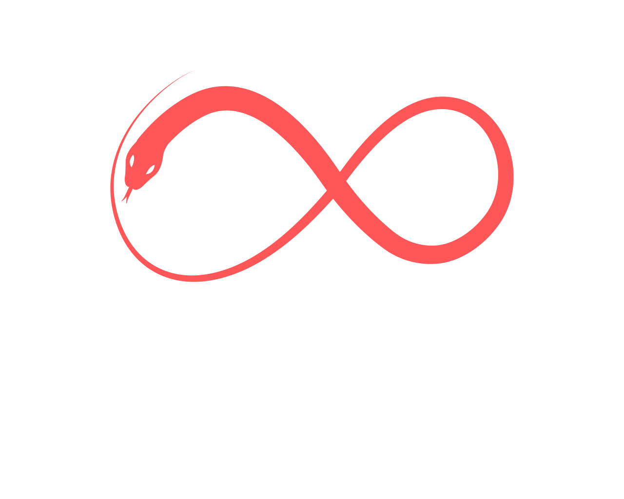 1-on-1 Coaching